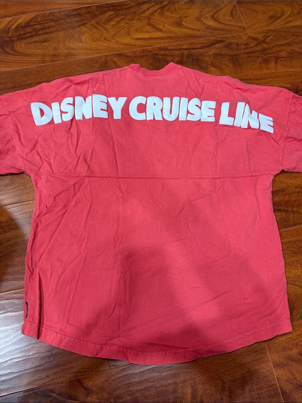 Disney Cruise Line Coral Long-Sleeve Spirit Jersey - Picture 4 of 7